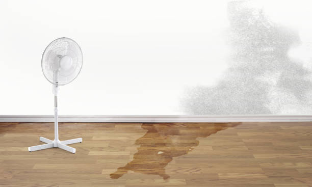 Best Emergency water damage restoration  in Cimarron, KS